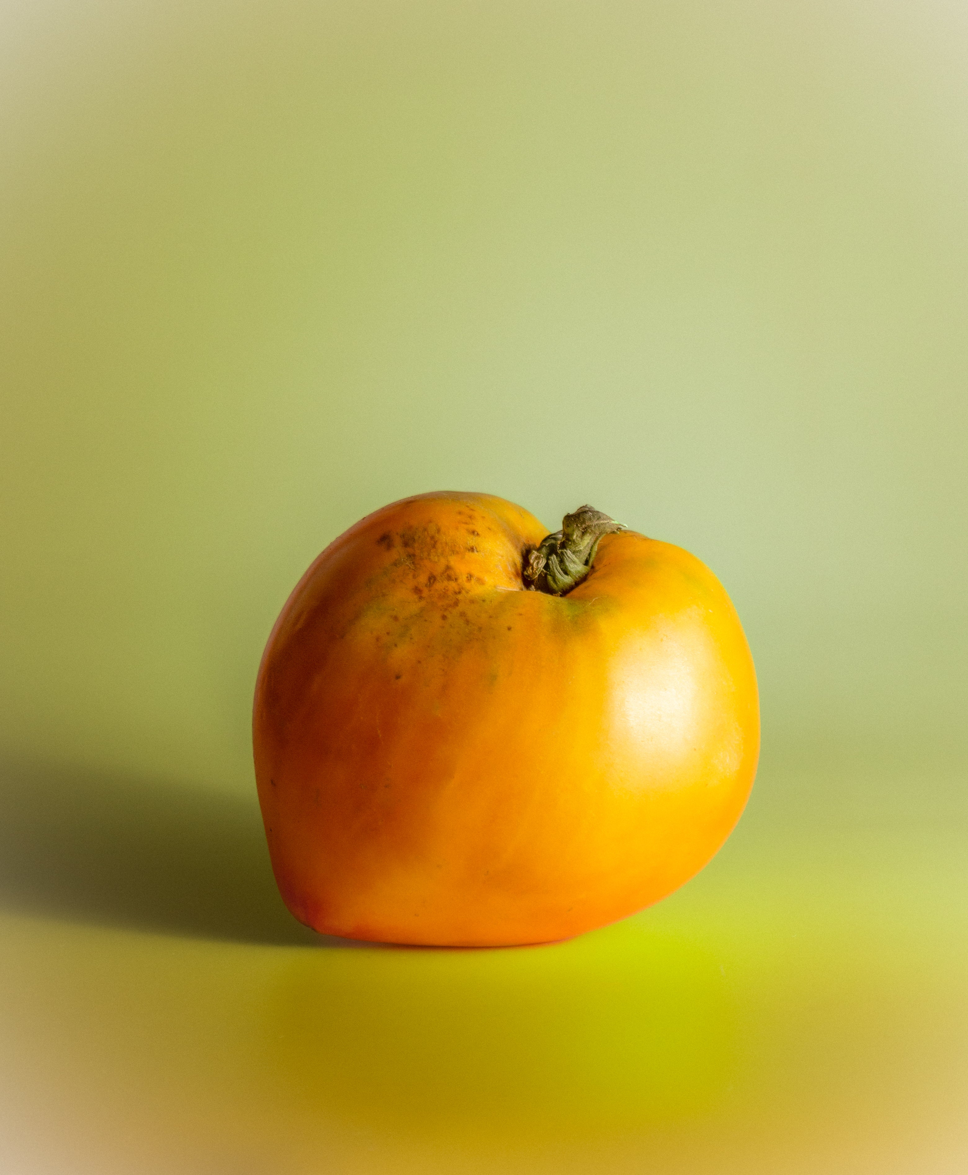 Harvesting Wellness – The organic advantage