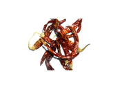 Red Chilli Whole - Dried